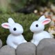 thumbnail image 5 of Rabbit Farmhouse Decor mini resina Accesorios de musgo suministros de fiesta Decoraciones de Pascua Artes y manualidades creativas para uso doméstico Inevent HA060106-00, 5 of 7
