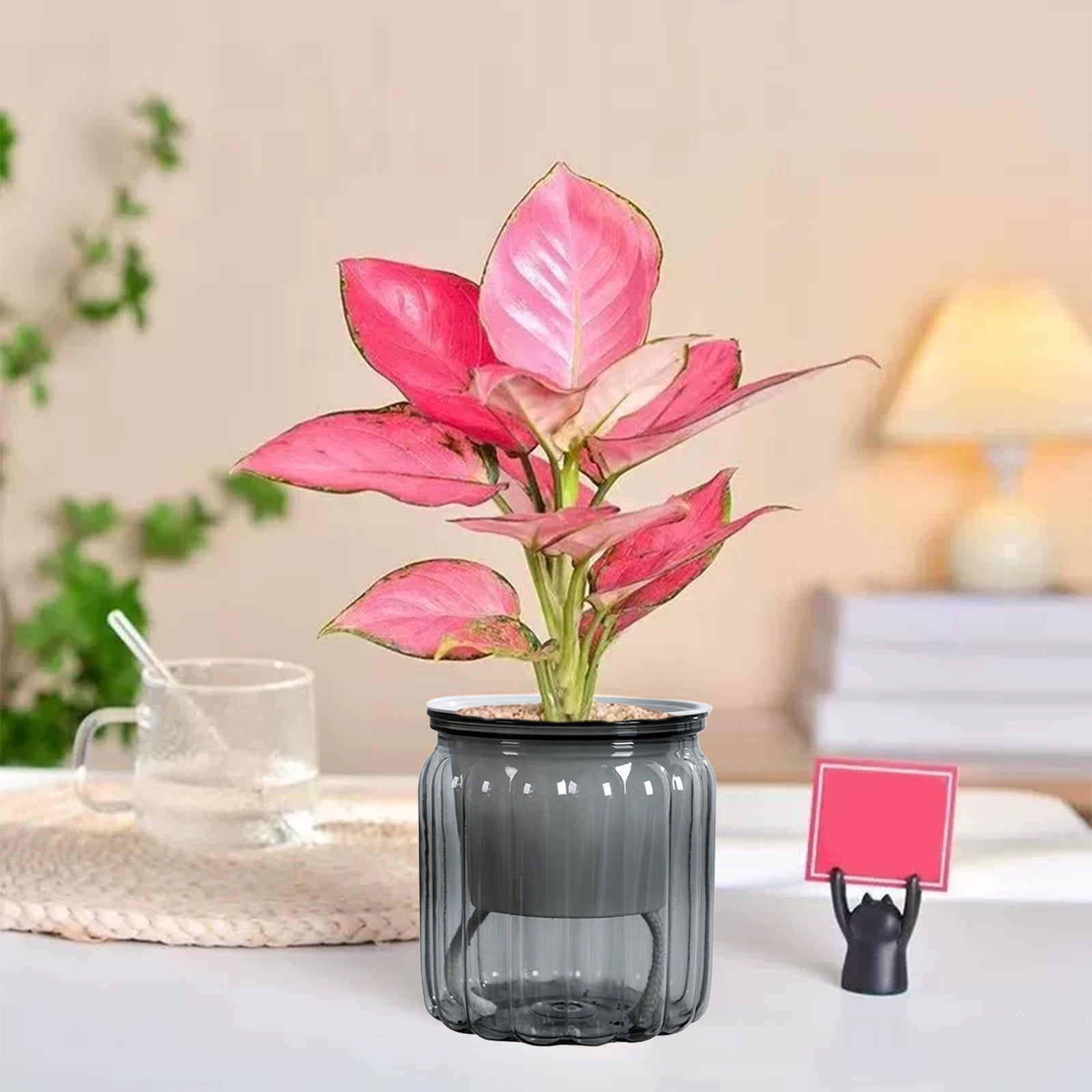 Self-Watering Planter Pot with Visible for Indoor, Low Maintenance Plant Container for Desktop Decor Water Storage System for Plant Growth Home Gardening