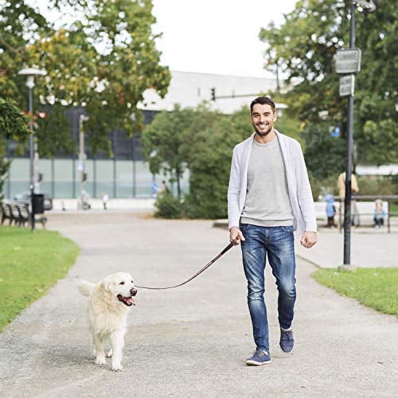 Anti-Fatigue Insole, Men's Size 8-9, Yellow and Blue