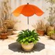 thumbnail image 5 of MTBLYS Sombrilla para plantas de exterior | Protección solar ajustable | 65 cm de diámetro | Sombrilla de jardín para macetas | Cubierta de sombra para plantas en maceta | Maceta, 5 of 6