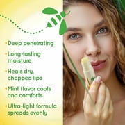 Lypsyl Intense Protection Original Mint Lip Balm, .10 oz.