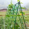 thumbnail image 2 of EIMELI  Garden Plants Climbing Net Plastic & Nylon Net Morning Glory Flower Vine Netting Support Net Grow Net Holder Garden Netting, 2 of 8