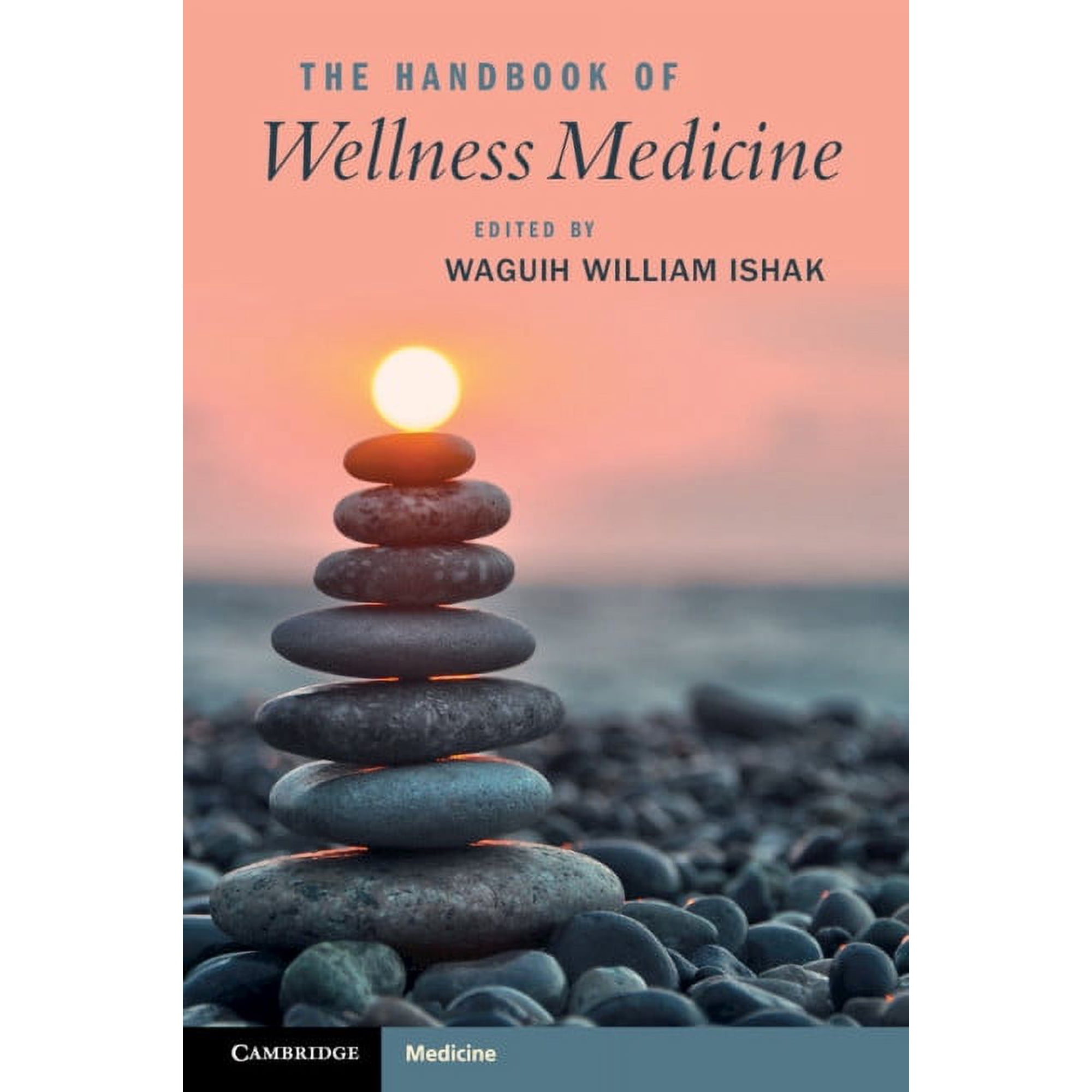 The Handbook of Wellness Medicine (Paperback)