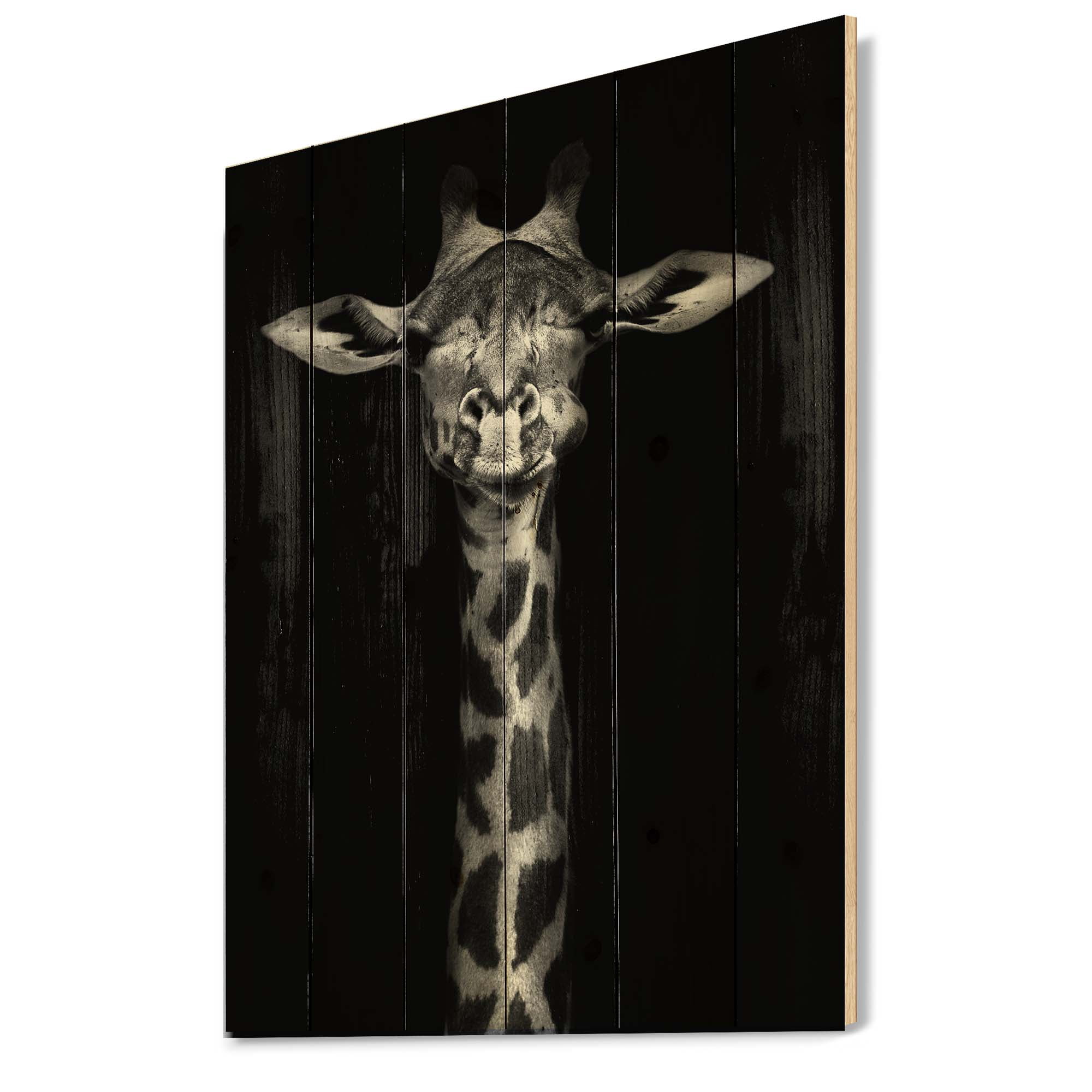 Designart 'Portrait Of A Giraffe In Monochrome' Farmhouse Print on Natural Pine Wood