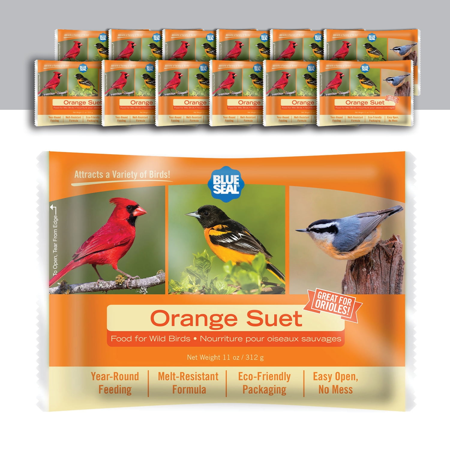 New Year Round Premium Orange Wild Bird Suet Cake 12pk