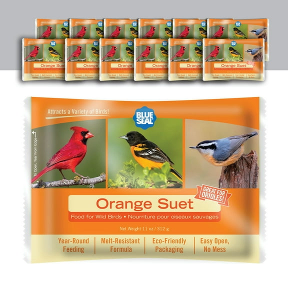 Blue Seal Orange Suet Cakes for Wild Birds - 11oz Suet Feeder (Pack of 12) - New