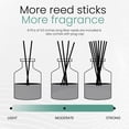 thumbnail image 5 of Brooklyn Fragrance Co. Water Color- Long Lasting Scented Aroma Diffuser – Sea Spray Air Freshener for Home- Fragrance Diffuser for a Large Room - 100ML, 5 of 7