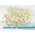 thumbnail image 4 of Starfish Decor Nautical Crush, paquete de 30 unidades, color blanco, 7,5 a 10 cm, manualidades, 4 of 9