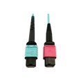 thumbnail image 2 of Eaton Tripp Lite Series 400G Multimode 50/125 OM4 Plenum Fiber Optic Cable, 24F MTP/MPO-UPC to 16F MTP/MPO-UPC (F/F), Aqua, 3 m - Network cable - MTP/MPO/UPC multi-mode (F) to MTP/MPO/UPC multi-mode (F) - 3 m - fiber optic - 50 / 125 micron - OM4 - plenum - black, magenta, aqua, 2 of 5