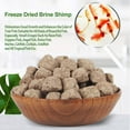 thumbnail image 3 of 0.7 oz Freeze Dried Brine Shrimp-100% Natural Fish Food, High Protein Brine Shrimp for Betta Fish, Goldfish, Cichlid, Guppy, Turtle, 3 of 4