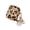 Type A, variant on Trendy Leopard Print IMD Shell Case for AirPods Pro 2 4, Soft TPU Protective Cover