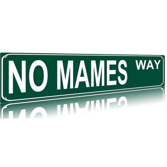 Funny Vintage Metal Sign - 'No Mames Way' Street Sign for Home, Bar, Coffee Shop, Garden - Unique Indoor/Outdoor Decor Gift - 4"x16" Tinplate Wall Art for Room or Patio