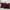 Wine Red, variant on 2Pcs Christmas Chenille Soft Throw Pillow Covers,Decorative Square Pillow Covers with Stitched Edge