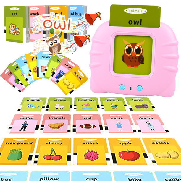 Richgv Talking Flash Cards Learning Toys for Toddlers 2 3 4 5 6 Years