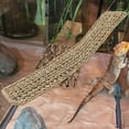 thumbnail image 4 of OUNONA Foraging Toys For Birds Parrot Swing Toy Wicker 1Pack Multifunctional, 4 of 6