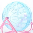 thumbnail image 5 of Soimiss Small Pet Exercise Ball for Hamsters Guinea Pigs Hedgehogs with Safe Rounded Design, 5 of 7