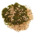 thumbnail image 1 of LIFKOME 1 Set Grass Terrain Powder Stone Model Grass Mat for Craft Floral Projects All Ages, 1 of 6
