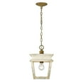 thumbnail image 2 of 1 Light Pendant in Modern Style 13.88 inches High By 9.5 inches Wide Bailey Street Home 170-Bel-4476463, 2 of 8
