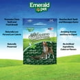 Emerald Pet Fresh Smileezz STF9 Grain Free Dog Dental Treats Minty