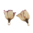 thumbnail image 4 of 2x De Flores De Rosas Secas De Resina Hallazgo De Fabricación De Joyas De Bricolaje hoja Macarena Encantos de flores secas de resina, 4 of 7