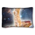 thumbnail image 1 of RYLABLUE Generic Personalized Hipster Cat Flying With Bacon Nebula Series Funny Animal Print For Zippered Rectangle Pillowcase Size 20x30 Inches Two Sided Print, 1 of 1