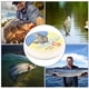 thumbnail image 3 of Red soluble en agua Jadeshay para pesca 5M, 3 of 8