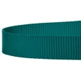 thumbnail image 5 of Country Brook Petz - Vibrant 17 Color Selection - Heavyduty Doublehandle Nylon Leash (4 Foot, 3/4 Inch Wide, Teal), 5 of 5