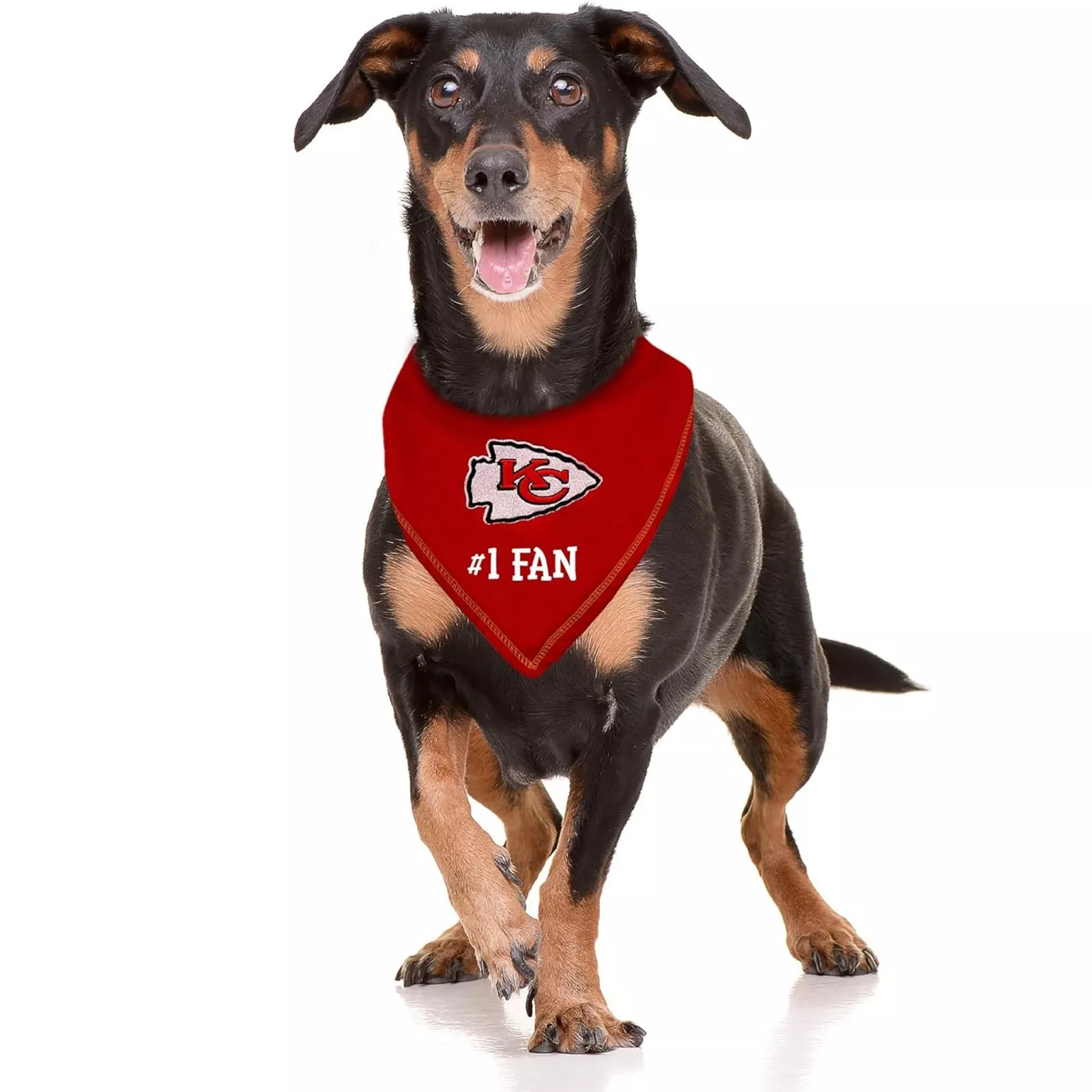 Pets First NFL Personalized Tie Bandana for Dogs & Cats Customizable Dog Bandana
