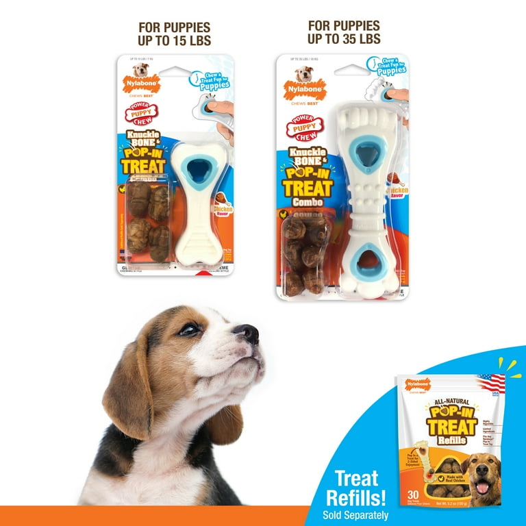 Nylabone Puppy Power Chew Souper Bone Pop In Puppy Treat Toy Combo Chicken X Small Petite Up to 15 lbs. 1 Count Walmart