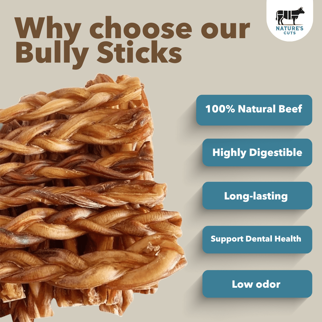 12" Monster Braided Bully Sticks Display Box (10 ct) with Individual UPC Tags - 100% All Natural Beef