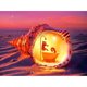 thumbnail image 1 of Diamond Painting (DE1703) 5D DIY Kits Conch Square Picture Artesanía Arte 30x40cm Hugtrwg Para estrenar, 1 of 1