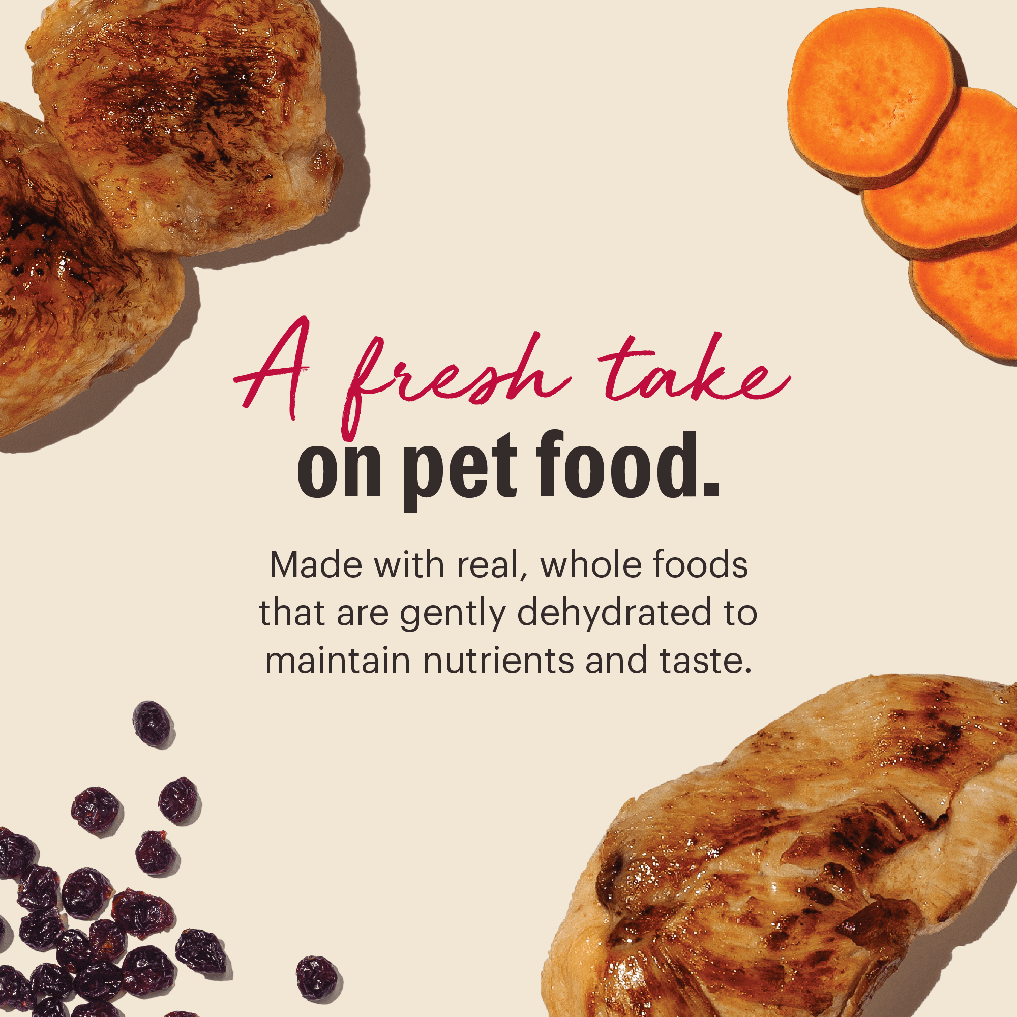 The Honest Kitchen Wholemade Dehydrated Grain Free Chicken Cat Food, Human Grade Recipe with Probiotics & Cage Free Chicken, Digestive Support, Meal or Topper for Cats, Makes 8 lbs from 2 lb Box