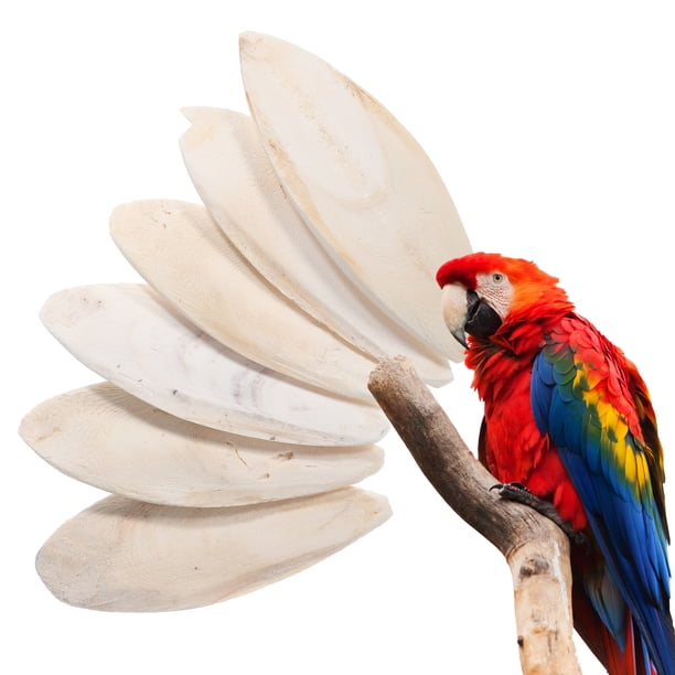 6 Huesos de sepia para masticar para pájaros, accesorios para jaulas de pájaros, hueso de sepia natural para pájaros