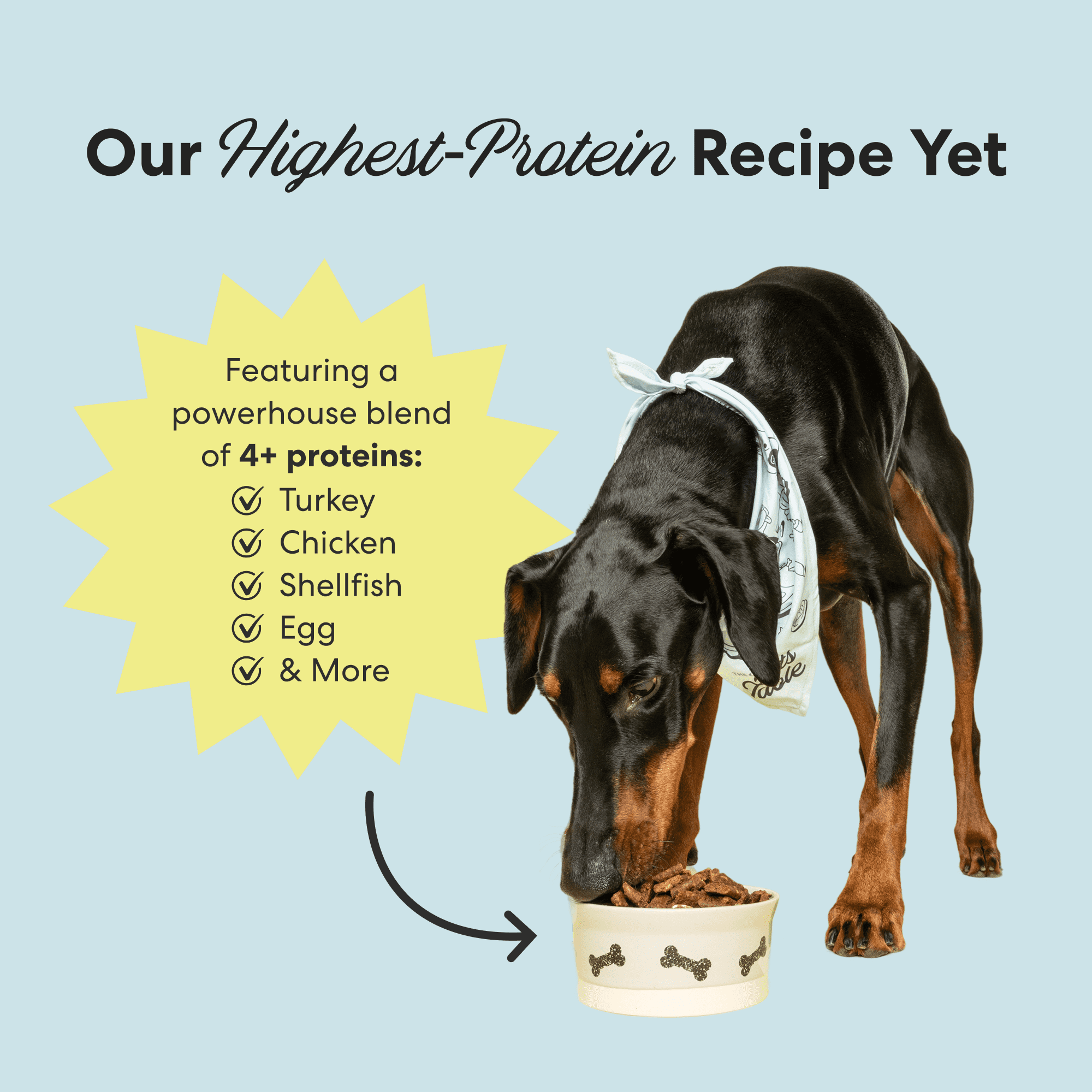 The Pets Table Turkey & Spinach Air-Dried Dog Food, 3 lb