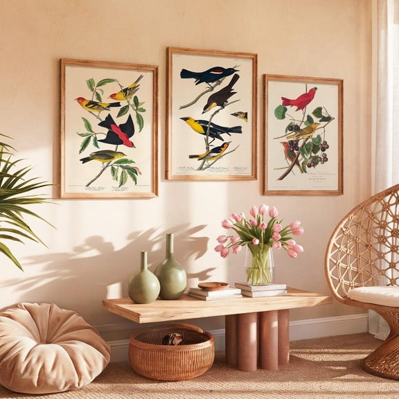 Audubon Bird Prints Vintage Botanical Illustration Art Set 3 Unframed Paper Print 8x12