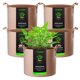 thumbnail image 1 of Bolsas de cultivo VIVOSUN, paquete de 5 unidades, 7,6 litros, tela no tejida con asas, 1 of 7
