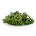 thumbnail image 2 of ⭐ Premium Preserved Reindeer Moss for Potted Plants, Terrariums, Fairy Gardens, Arts and Crafts or Floral Decor Design in BASIL GREEN (5 Quart Bag), 2 of 4