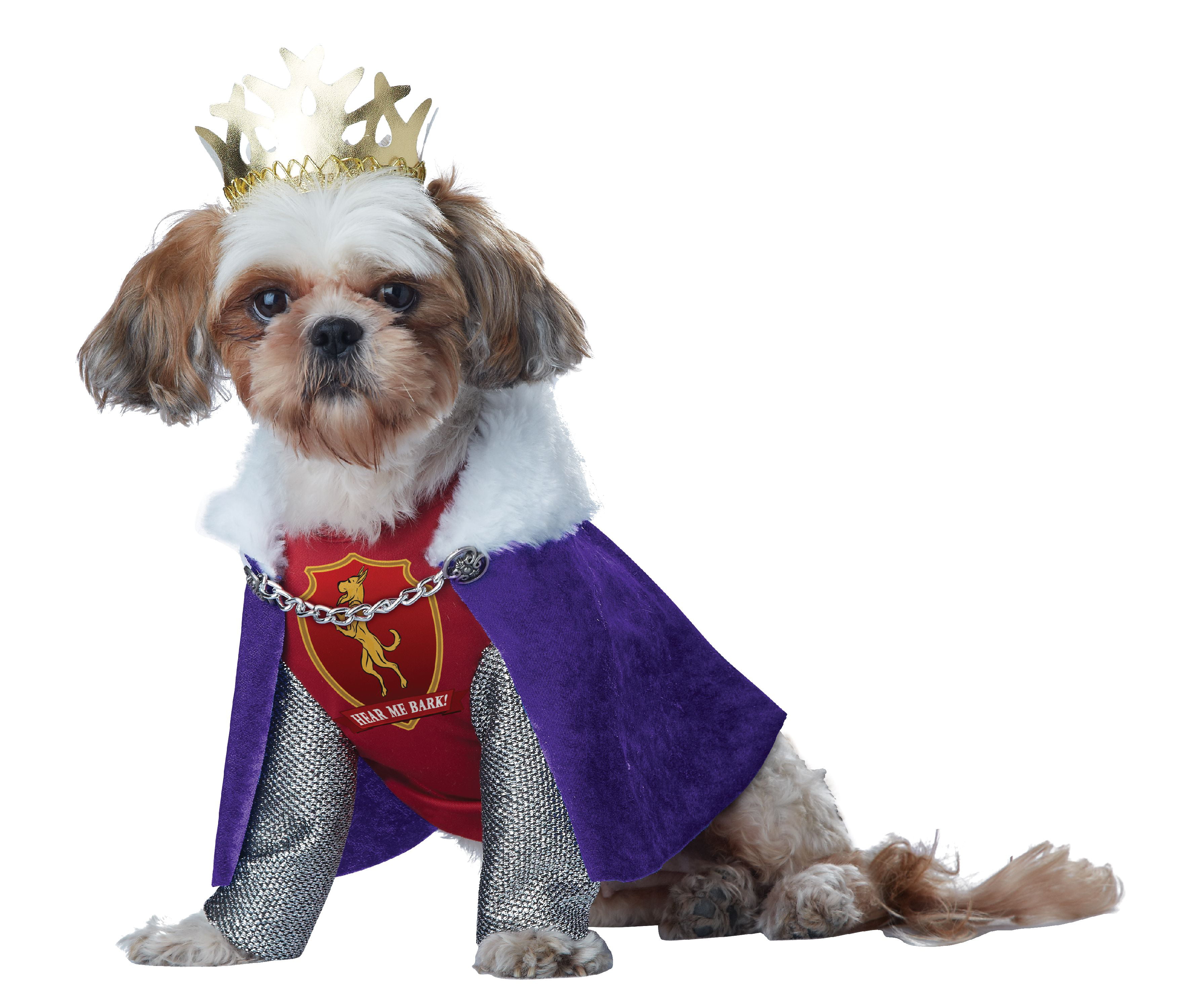 Queen Of Bones Dog Halloween Costume Queen Female Dog Renaissance Costume 