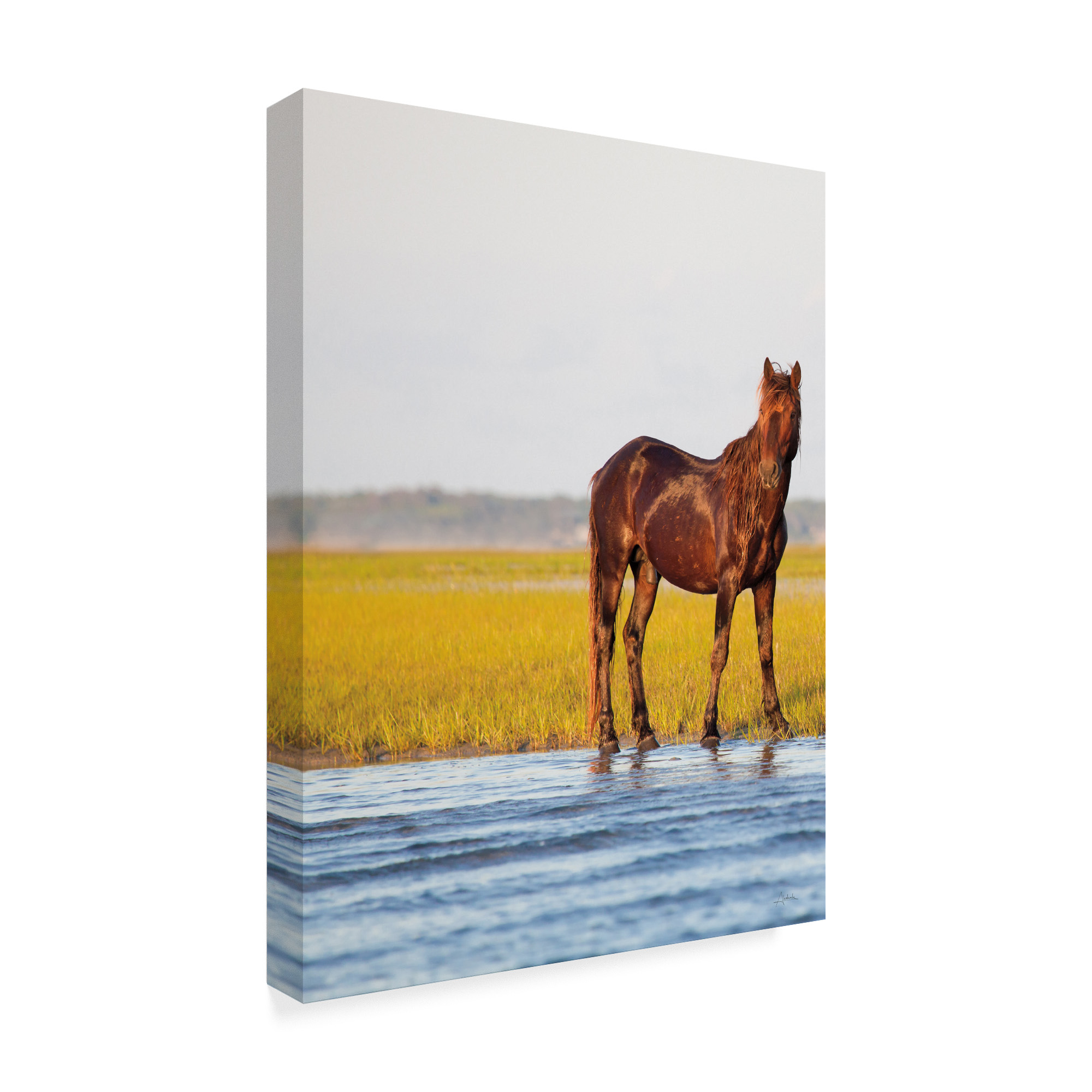 Trademark Fine Art 'Horse By the River' Canvas Art by Aledanda