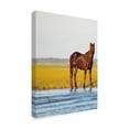 thumbnail image 2 of Trademark Fine Art 'Horse By the River' Canvas Art by Aledanda, 2 of 3
