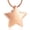 Rose Golden, variant on Urn Necklace for Ashes Stainless Steel Small Star Urn Pendant Cremation Jewelry Star Shape Memory Keepsake for Women Men Gifts