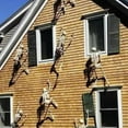 thumbnail image 2 of 90/150Cm Poseable Human Skeleton Halloween Decoration Party Prop, 2 of 6