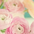 thumbnail image 2 of Gardner, Sarah 15x15 Gold Ornate Wood Framed with Double Matting Museum Art Print Titled - Blushing Blossoms Square I, 2 of 4