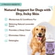 thumbnail image 2 of Shampoo Natural para Perros Natural Dog Company Calmante Lavanda 355 mL Hipoalergénico, 2 of 8