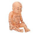 thumbnail image 1 of Babies Acupuncture Massage Model, Easy Use Professional Silicone Infant Massage Acupoint  for Nannies for Home, 1 of 7