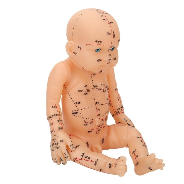 Babies Acupuncture Massage Model, Easy Use Professional Silicone Infant Massage Acupoint for Nannies for Home