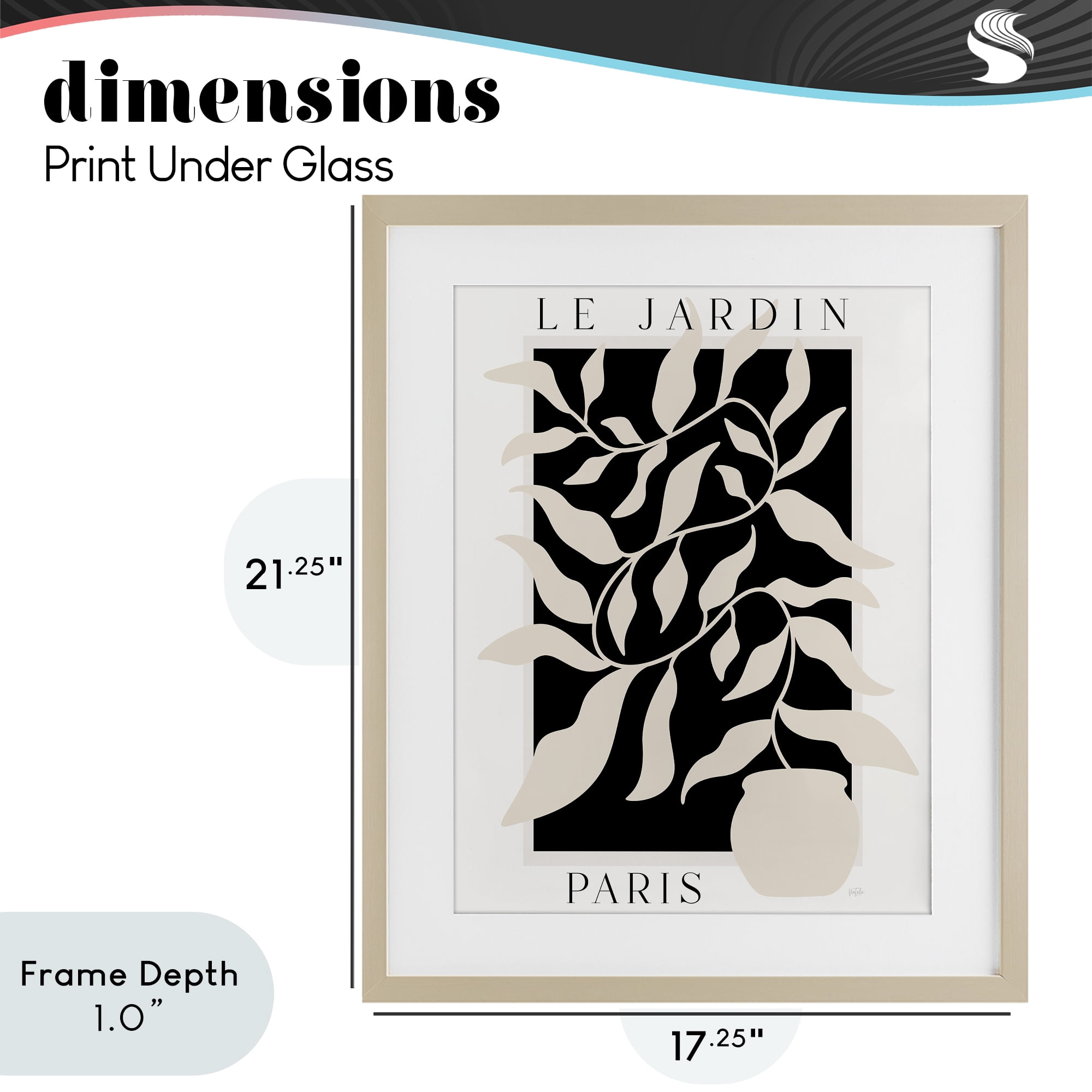 Stupell Industries Le Jardin Paris Botanicals Birch Framed Print Under Glass, design by Natalie Carpentieri