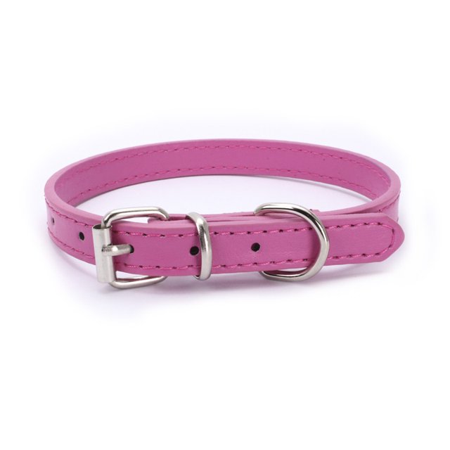 Collier de Chien Doux avec Sangle pour Petit Chiot Chaton