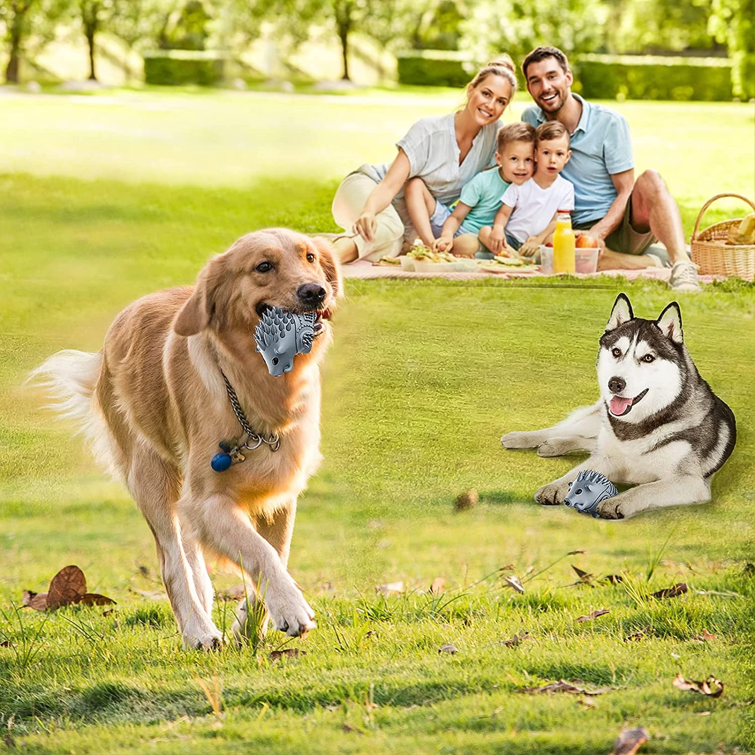 Dog Chew Toys for Aggressive Chewers,Larg Dog Bones Toys,Dog Toys for Indestructible Squeaky Chewers,Clean Teeth Non Toxic Environmentally Friendly,100% Natural Rubber&Milk Flavor