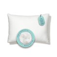 thumbnail image 1 of Casper Oreiller Rafraîchissant Essentiel, Doux et Supportant, Taille Standard, Blanc, 1 of 5